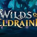 Wilds of Elraine