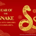 Year of the snake