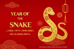 Year of the snake